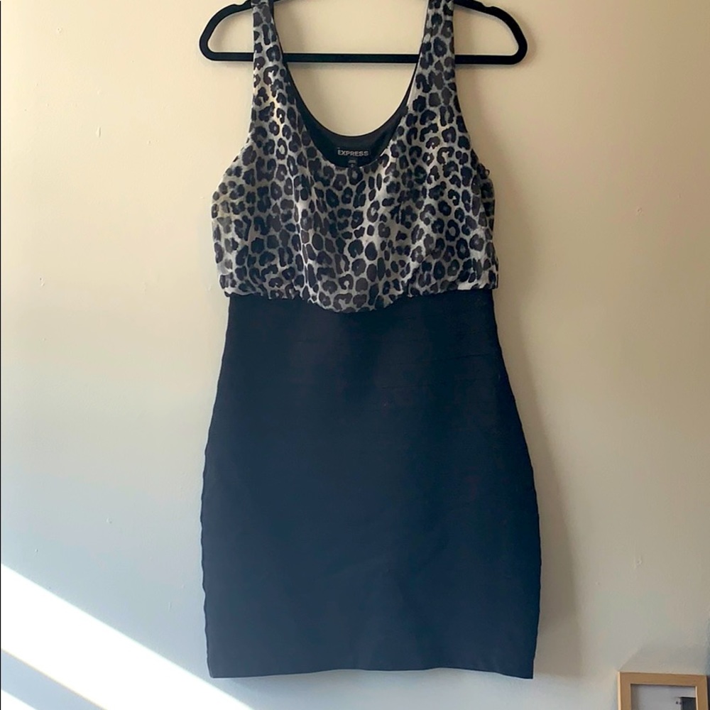 Express dress